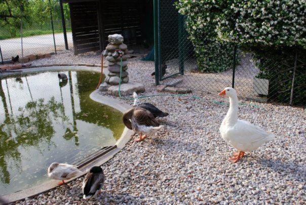 Locanda Al Convento Favaro Veneto Eksteriør bilde